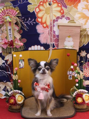 20240124ひめちゃん